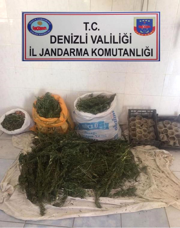 Tarlada Kurumaya Bırakılan 37 Kilo 250 Gram Esrarı Jandarma Buldu