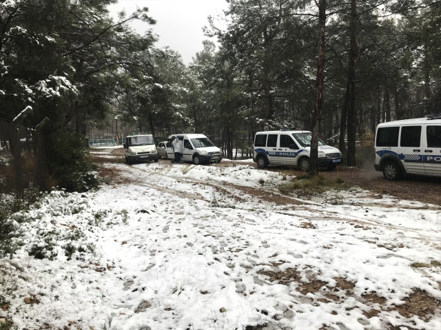 Denizli’de Bir Kişi Ormanda Ölü Bulundu
