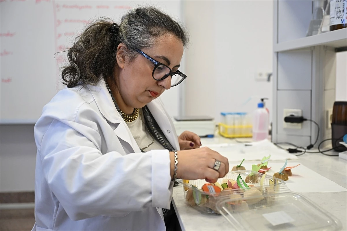 Trakya Üniversitesi Eczacılık Fakültesi’nden Kimyasal Barındırmayan Sabun Üretimi